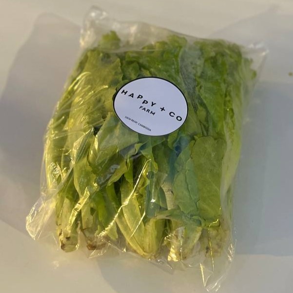 LETTUCE LOCAL